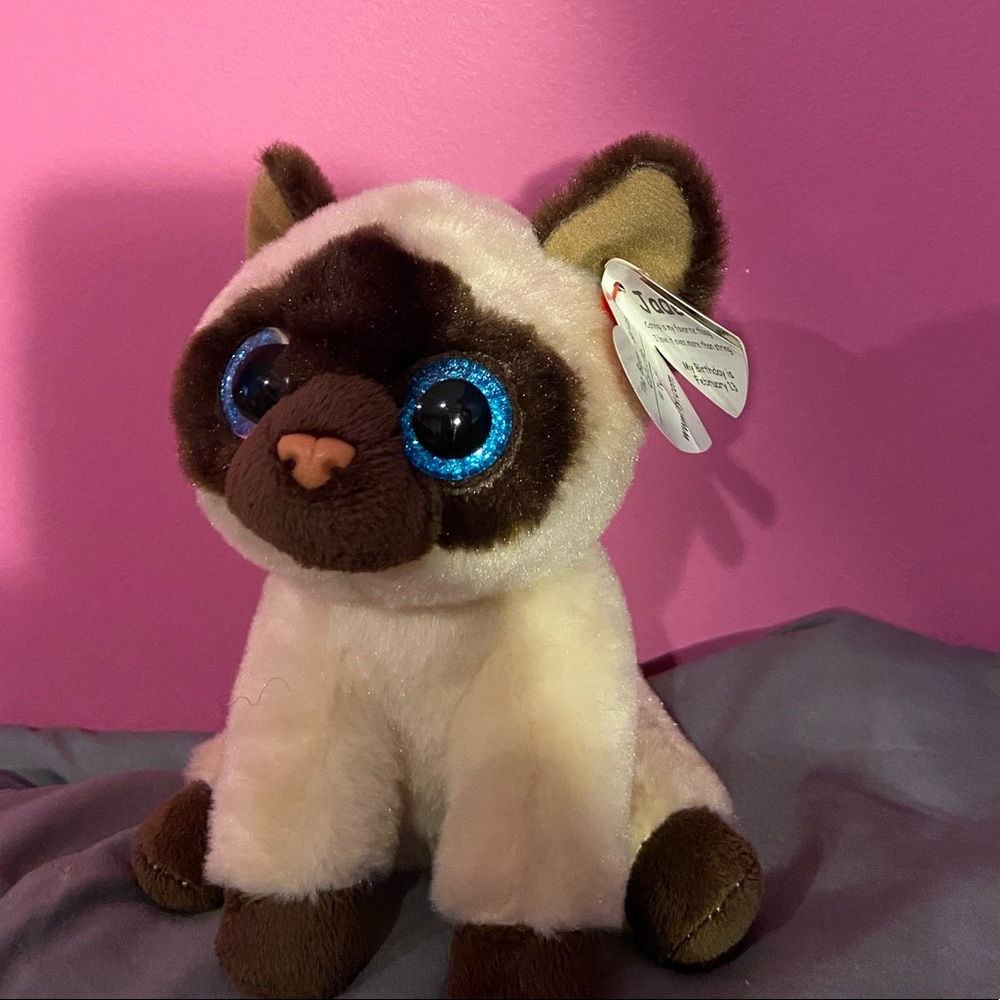 Cat beanie boo.